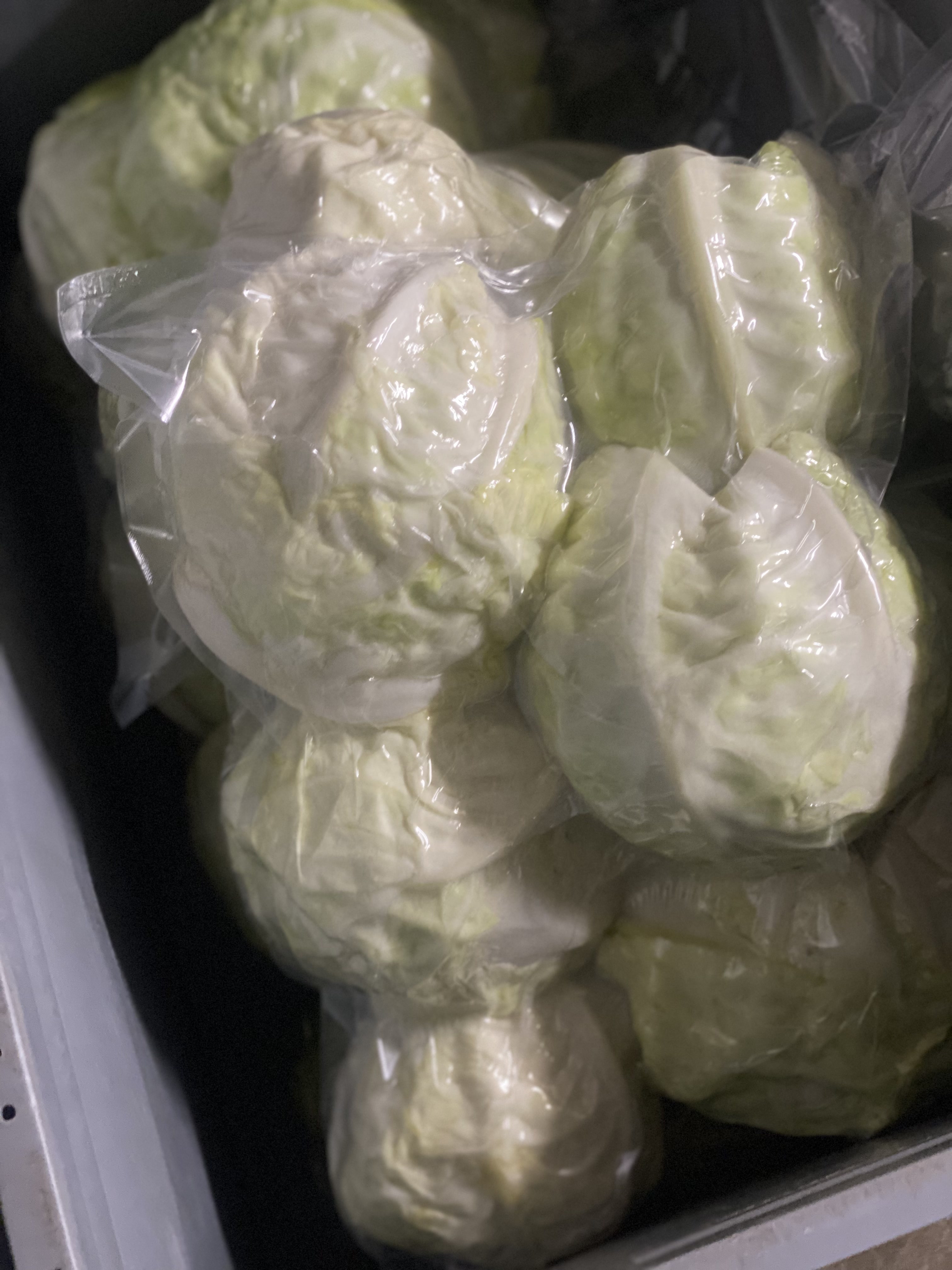 Фото «Родные поля»: kapusta kochany vakuum yashchik